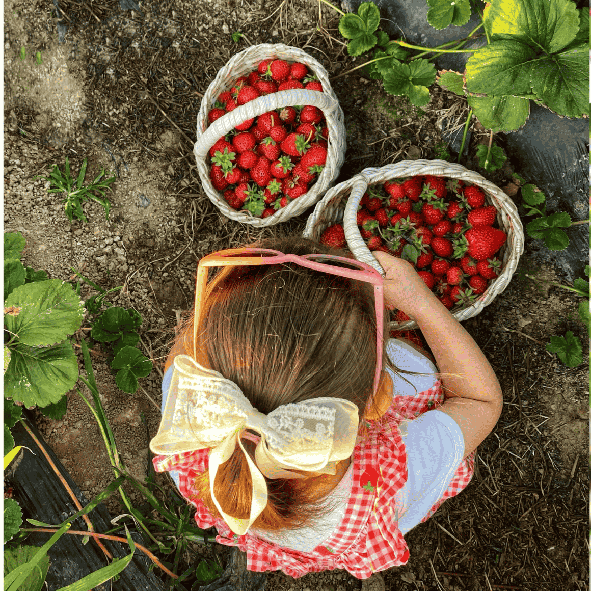 child picking strawberries
