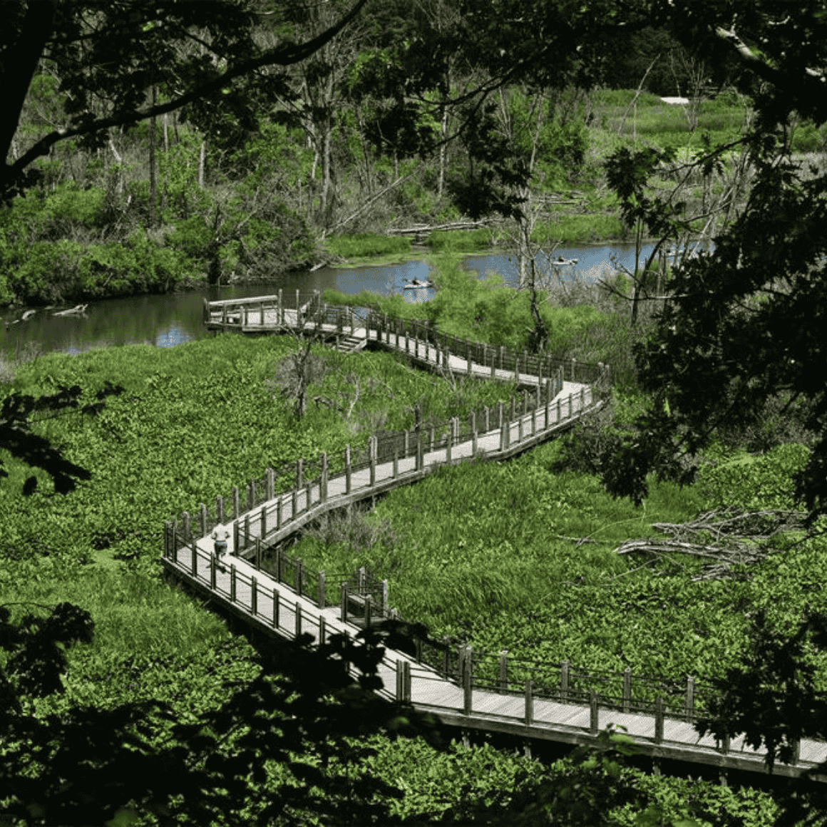 boardwalk through grass to the river