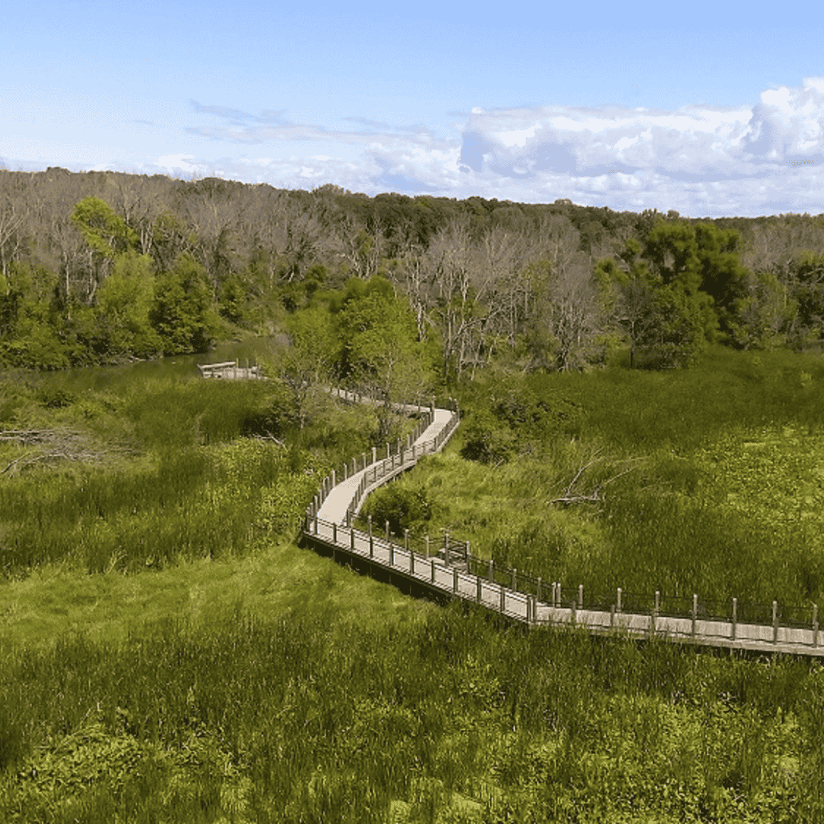boardwalk along river