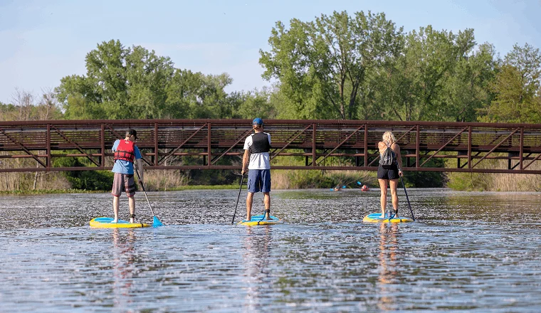 three people paddleboarding on the paw paw river