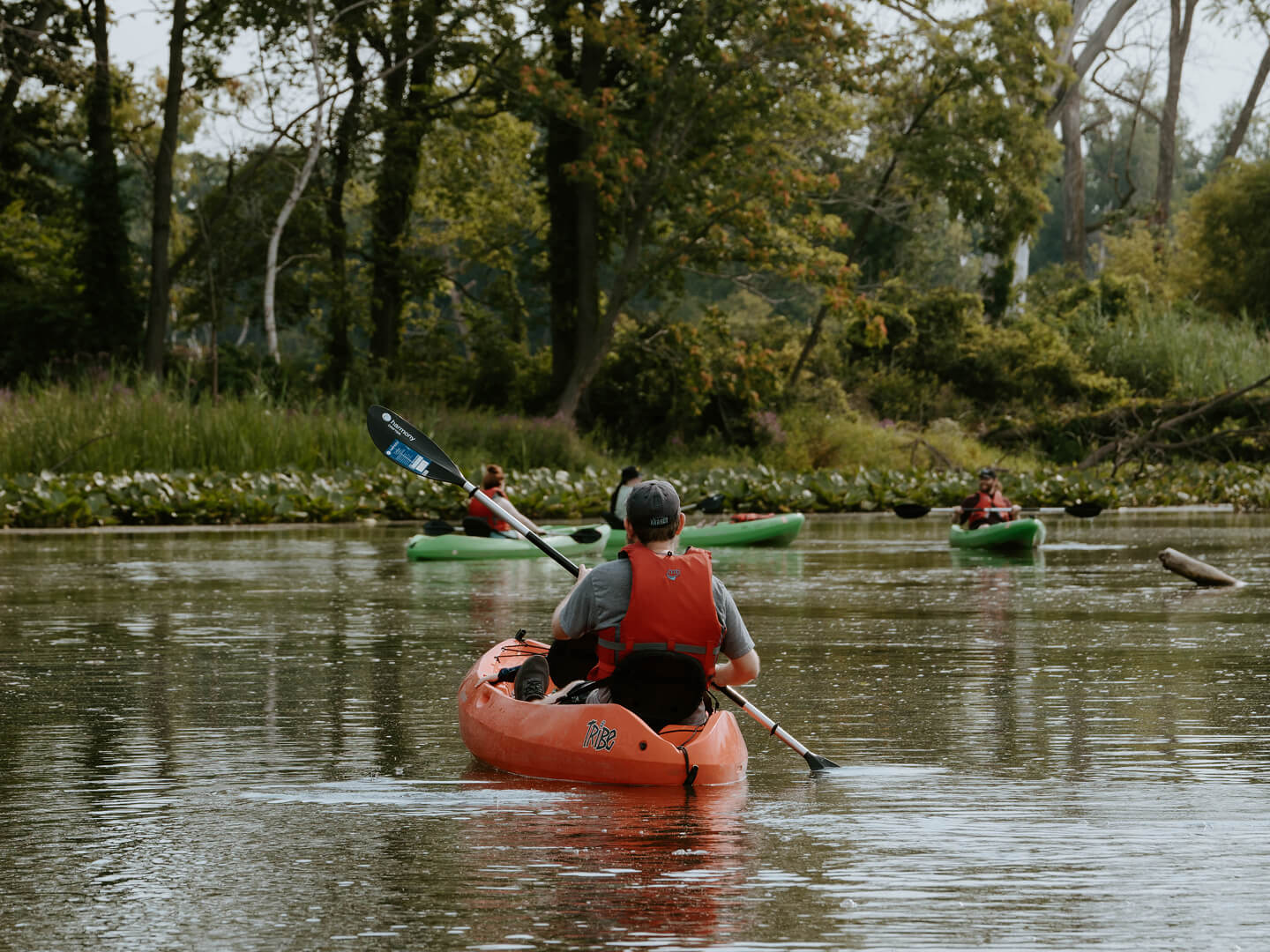 kayaking on the galien river