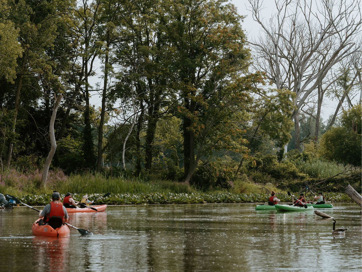 people paddling on the galien river in new buffalo