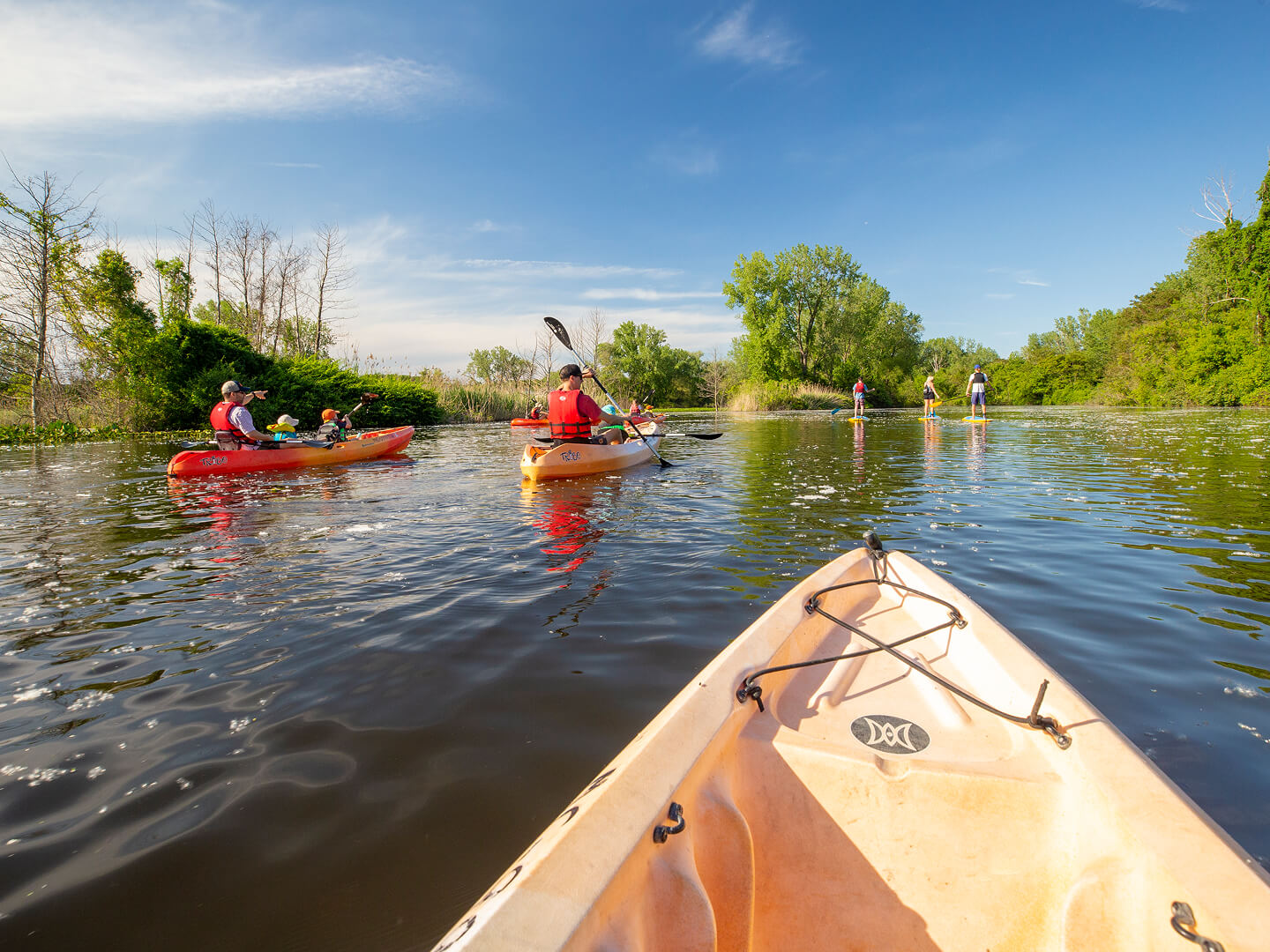 kayaking on the paw paw river