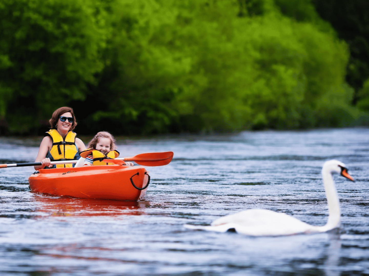mother and daughter kayaking and watching a swan